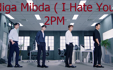 Niga Mibda ( I Hate You )