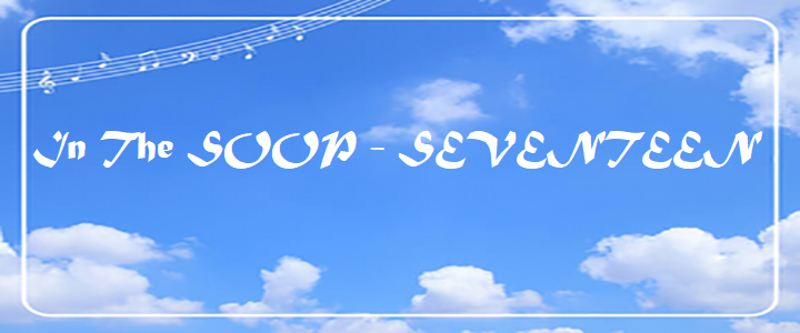 In The SOOP - SEVENTEEN