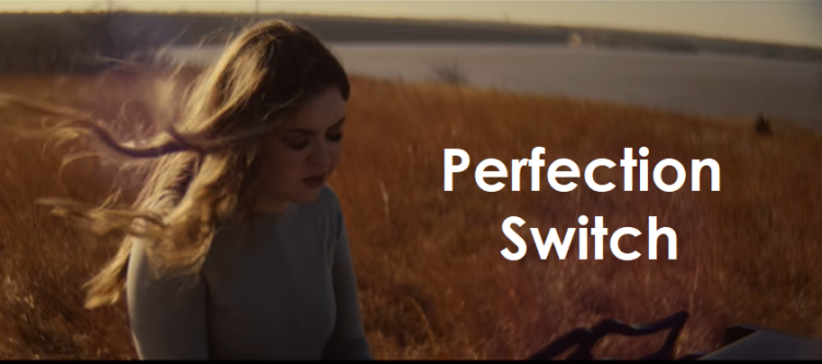 Perfection - Switch