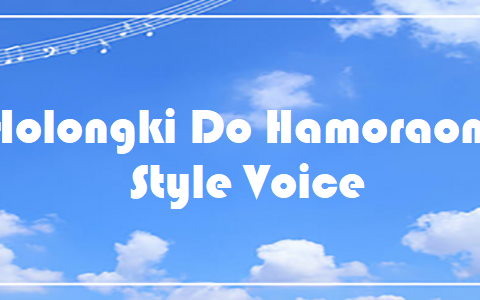 Holongki Do Hamoraonki - Style Voice