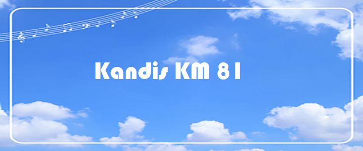 Kandis KM 81