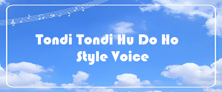 Tondi Tondi Hu Do Ho - Style Voice